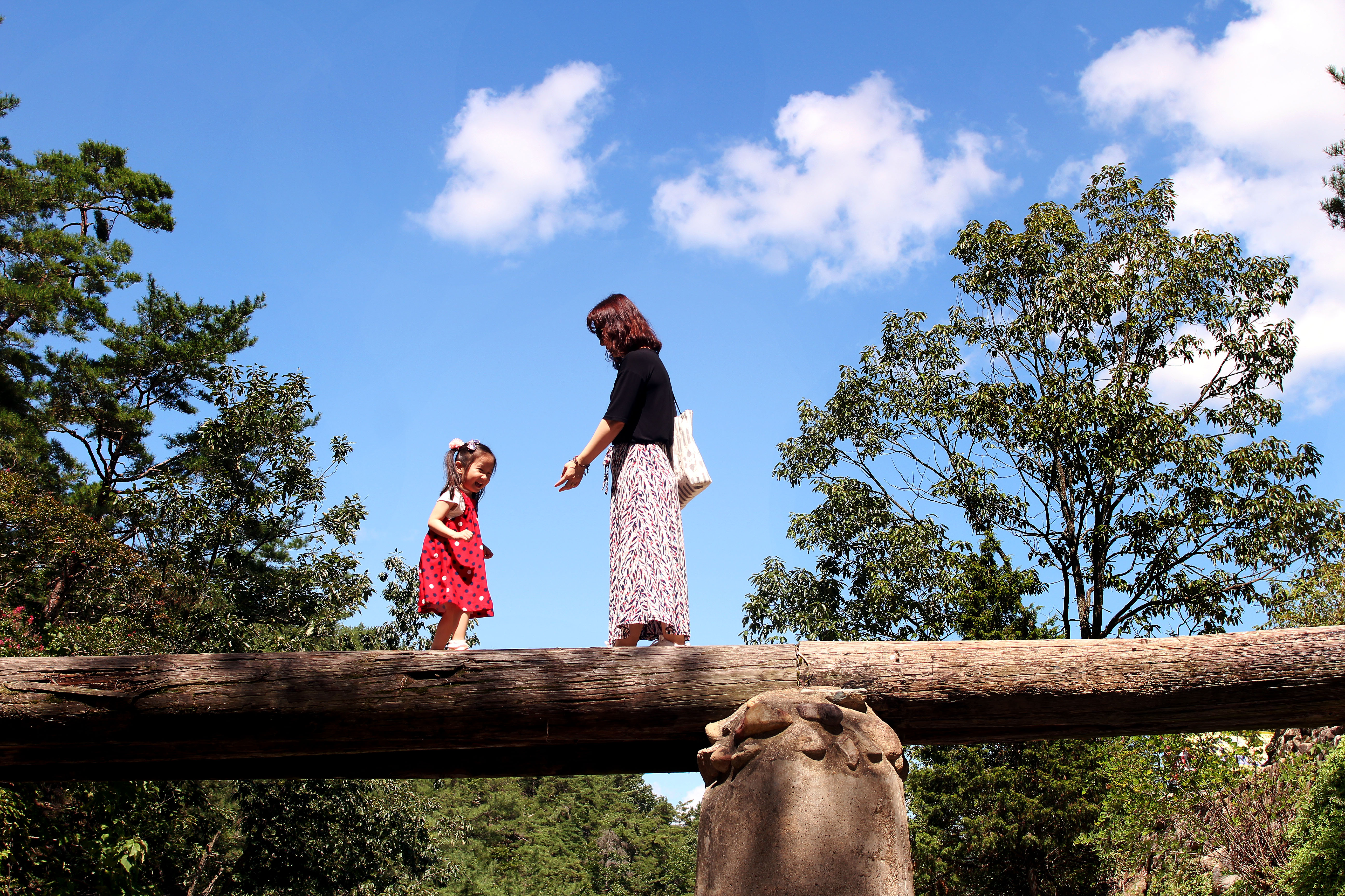 사진작가(윤태하)