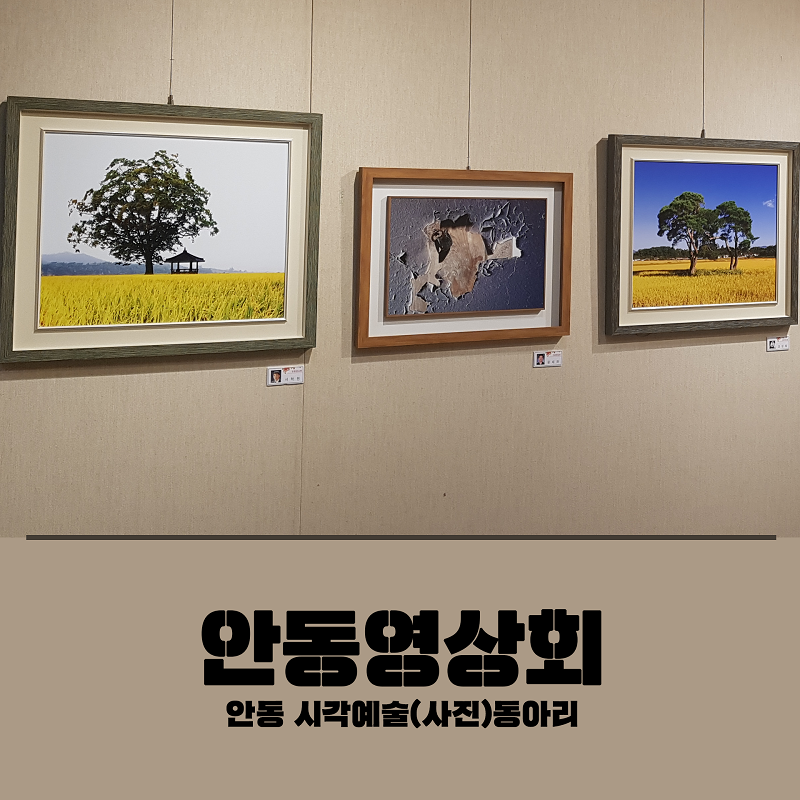 안동영상회