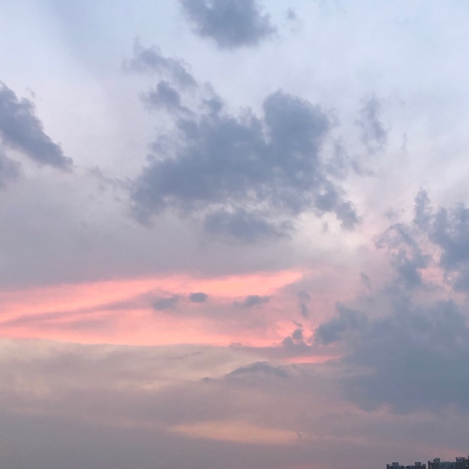 최민경작가님 포트폴리오 [사진]